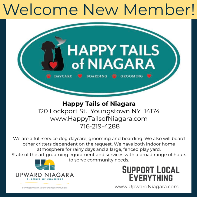 Happy Tails of Niagara Doggy Daycare v2